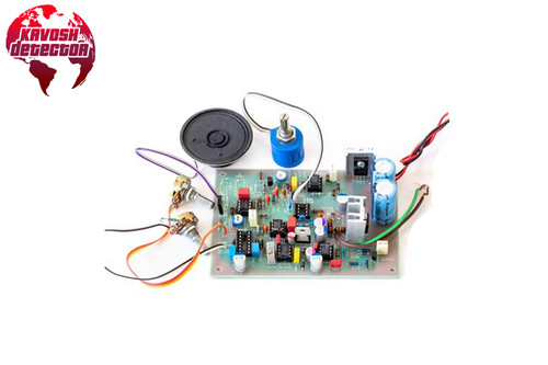 کیت فلزیاب پالسی TL12000